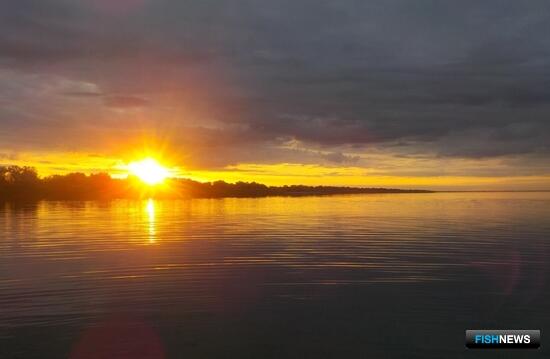 Наука собирает данные об артемии Алтая