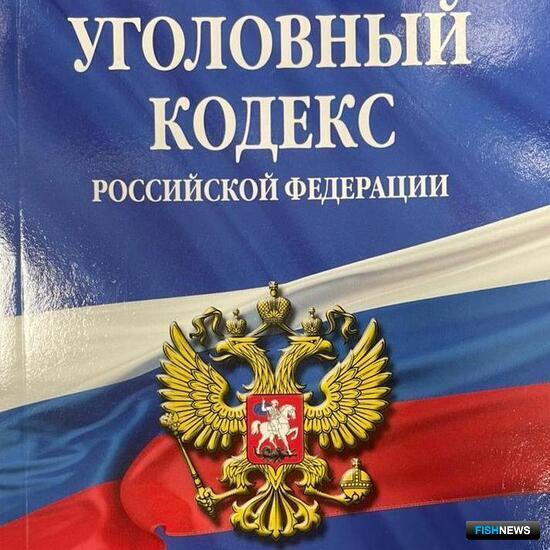 Добыча осетровых обеспечила браконьерам &laquo;билет&raquo; за решетку