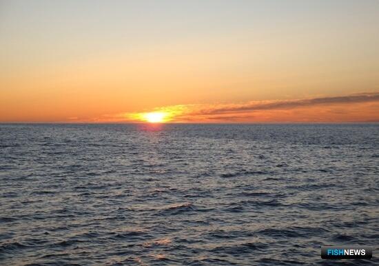 В США разработали &laquo;рыбную&raquo; стратегию