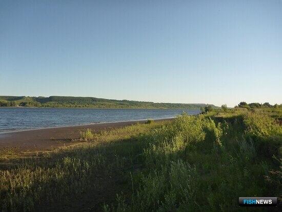 На акватории Башкирии приглашают рыбоводов На акватории Башкирии приглашают рыбоводов