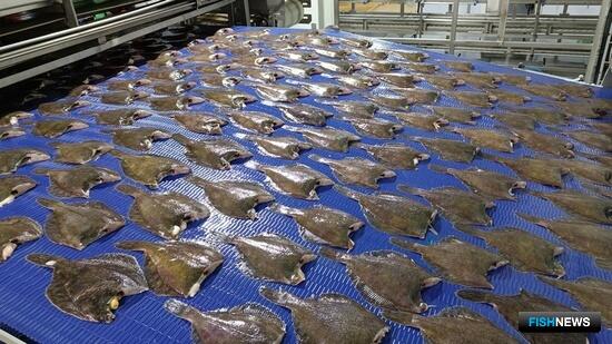 Береговым заводам под инвестквоты готовят коэффициенты