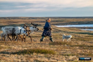 Минсельхоз готовится обновить &laquo;рыбацкий&raquo; регламент для КМНС