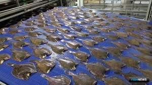 Береговым заводам под инвестквоты готовят коэффициенты