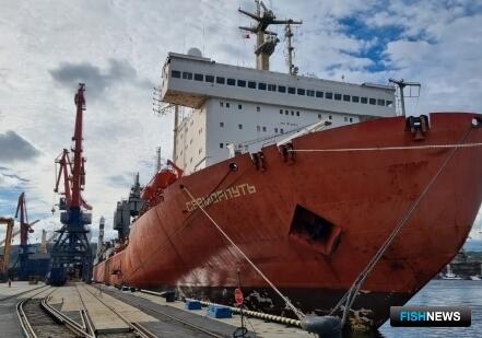 &laquo;Севморпуть&raquo; продолжает &laquo;рыбные&raquo; маршруты