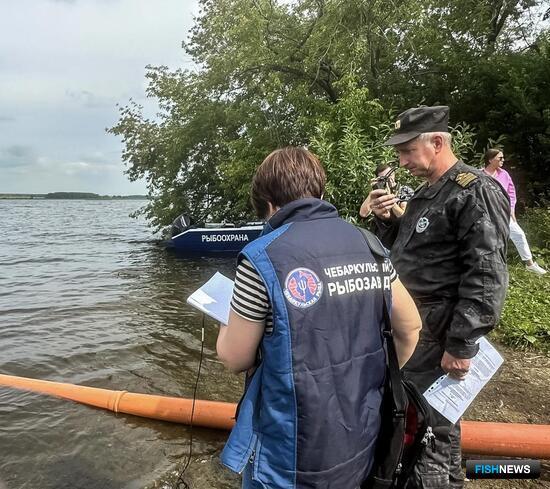 Сазан пополняет водоемы Челябинской области Сазан пополняет водоемы Челябинской области