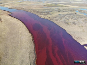 За нефтеразлив в Норильске вынесли приговор