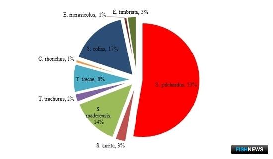 Рабочая группа ФАО дала рекомендации по африканской рыбе
