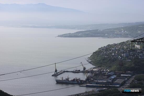 Камчатка предлагает сделать в крабовых аукционах социальный акцент Камчатка предлагает сделать в крабовых аукционах социальный акцент