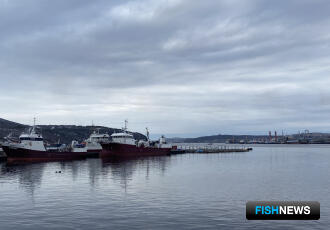Северяне аттестуются для экспорта рыбы в разные страны Северяне аттестуются для экспорта рыбы в разные страны