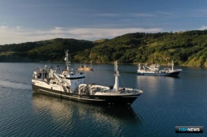 Рыбаков в ОСМ ждут особые доверенности