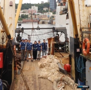 Наука проверит скопления иваси