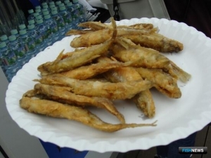 Телеграм активно откликнулся на тему &laquo;рыбных четвергов&raquo;