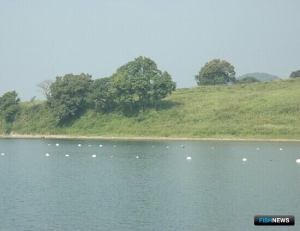 Росрыболовство поддерживает отмену ГЭЭ для пастбищной аквакультуры