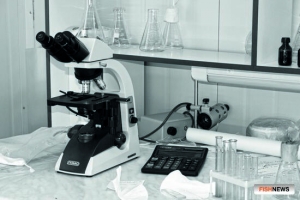 Водоросль из устья Оби может стать инструментом экомониторинга