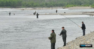 На Колыме лососю добавили проходных дней