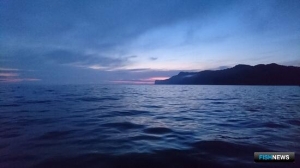 Наука оценит риски для рыбаков из-за сбросов с &laquo;Фукусимы-1&raquo;