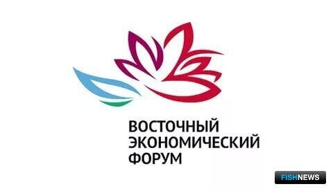 Отраслевая сессия на ВЭФ пройдет 11 сентября Отраслевая сессия на ВЭФ пройдет 11 сентября
