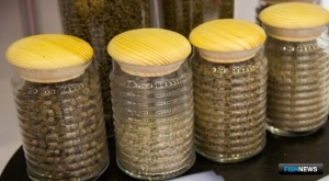 Росрыболовство проанализировало потребности аквакультуры в кормах