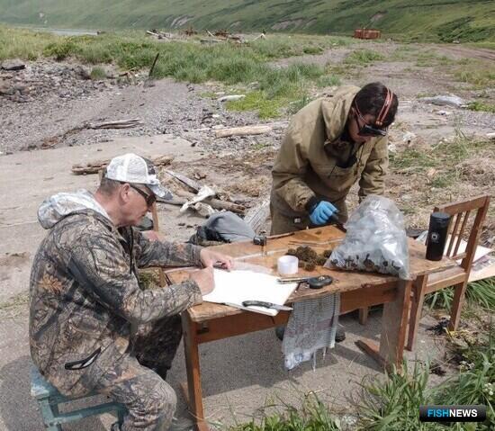 Рыбохозяйственная наука подключилась к комплексной экспедиции на Курилах Рыбохозяйственная наука подключилась к комплексной экспедиции на Курилах