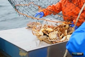 Минсельхоз объяснил выбор коэффициента для крабовых аукционов