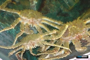 Хабаровская ассоциация предлагает все же подумать над &laquo;крабовым&raquo; коэффициентом