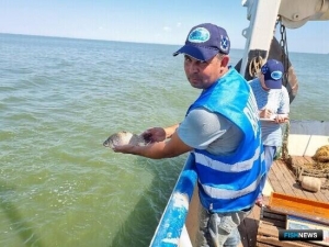 За рыбной молодью Цимлянского водохранилища следят ученые