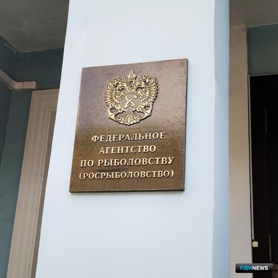 Росрыболовство вновь разыграет квоты семги