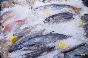 Россия предложит урегулировать вопрос со статусом уловов