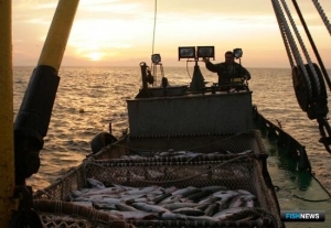 Путина завершает летнюю фазу