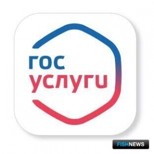 Обжаловать категорию риска теперь можно через &laquo;Госуслуги&raquo;