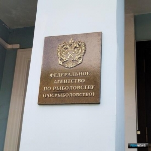 Росрыболовство вновь разыграет квоты семги