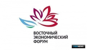 Кто примет участие в &laquo;рыбных&raquo; сессиях ВЭФ