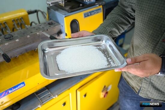 В ТГУ работают над биоразлагаемыми пластиками