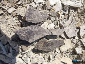 Ученые нашли &laquo;рыбное место&raquo; юрского периода