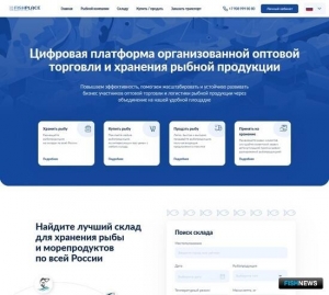 Хранение и оптовая торговля рыбой переходят в &laquo;цифру&raquo;