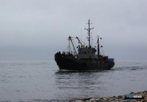 Предприятия выберут вид рыболовства