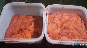 &laquo;Икорные&raquo; дела завели на Камчатке