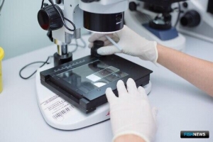 Эхо &laquo;Фукусимы&raquo;: Управление Россельхознадзора усилило контроль за рыбой