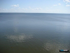 Новые аквафермы могут появиться в Костромской области