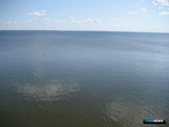 Новые аквафермы могут появиться в Костромской области