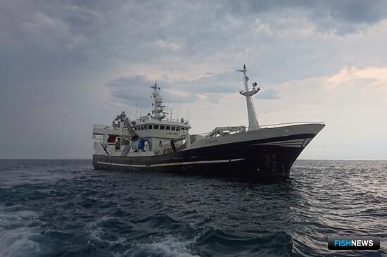 Российские уловы приближаются к 4 млн тонн Российские уловы приближаются к 4 млн тонн