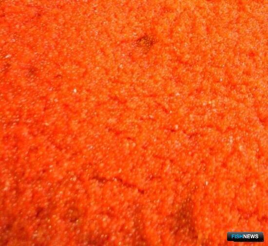 Сахалинец ответит в суде за незаконную заготовку икры