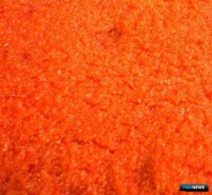 Сахалинец ответит в суде за незаконную заготовку икры