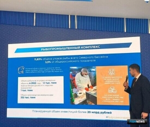 Потенциал Поморья презентовали на ВЭФ