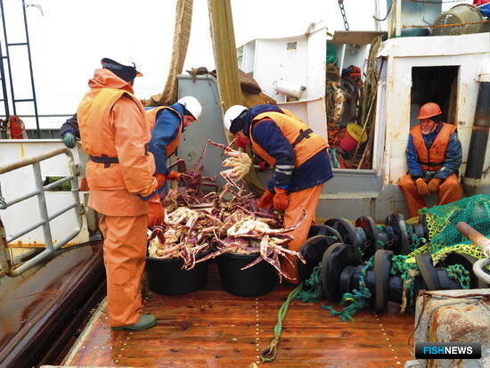 Специалисты освежили данные по крабу Баренцева моря
