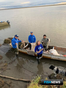 Ученые получили новые сведения о «населении» Индигирки Ученые получили новые сведения о «населении» Индигирки
