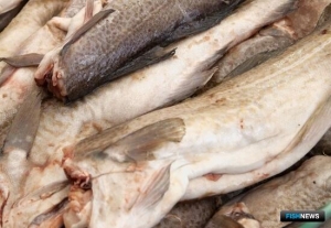 Отбор на участие в программе инвестквот прошла &laquo;Согра&raquo;