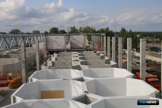 Карельские форелеводы получат подкрепление Карельские форелеводы получат подкрепление