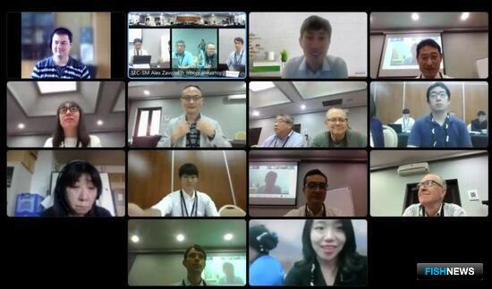 Ученые обсудили оценку запасов сайры и скумбрии в Северной Пацифике Ученые обсудили оценку запасов сайры и скумбрии в Северной Пацифике