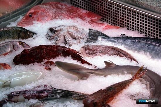 Эмбарго на ввоз сельхозпродукции продлили еще на год Эмбарго на ввоз сельхозпродукции продлили еще на год